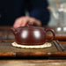 Handmade Jinglan Zisha Clay Teapot-4