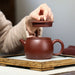 Handmade Zisha Clay Hanwa Teapot-3