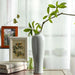 Modern Simple Solid Color Table Vase-6